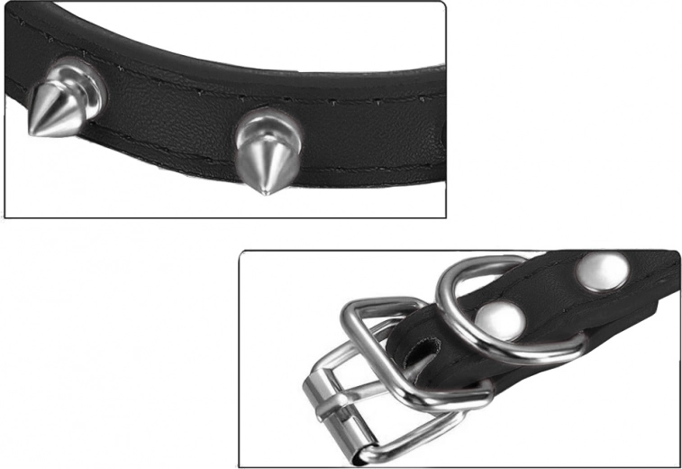 Attache de laisse sécurisée