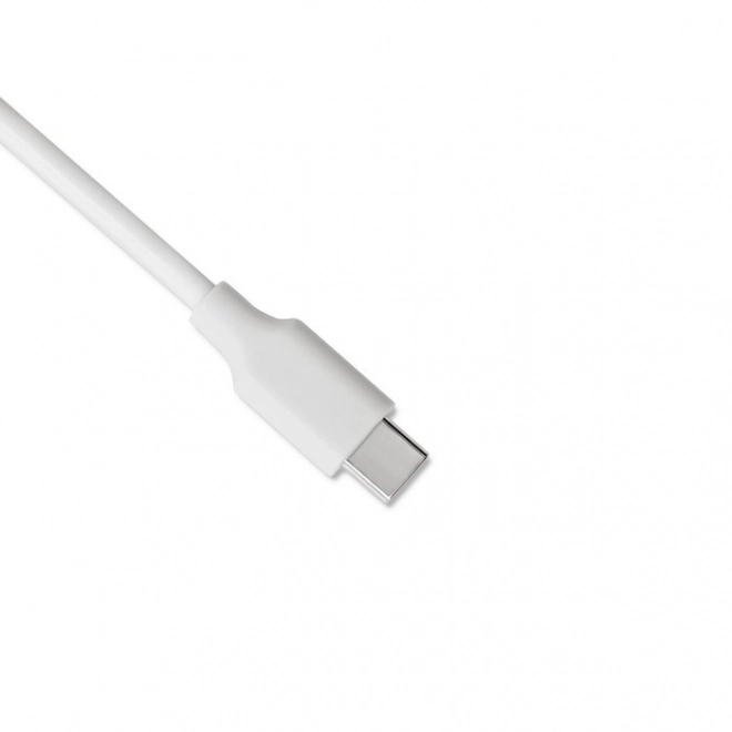 Adaptateur secteur USB-C 65 W Power Delivery Blanc