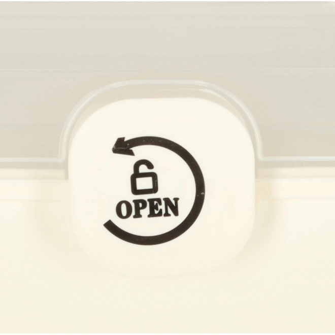 Organisateur pour médicaments 29 x 16 x 15 cm