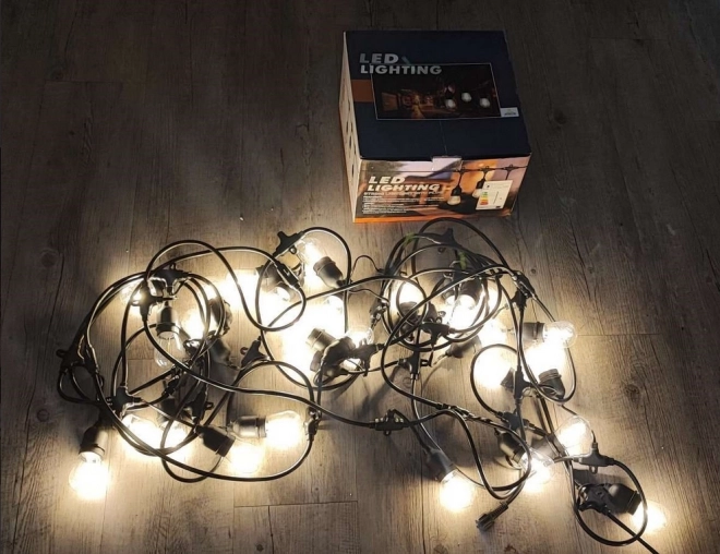 Guirlande lumineuse de jardin avec 10 ampoules LED