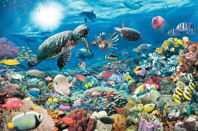 Représentation époustouflante du monde sous-marin