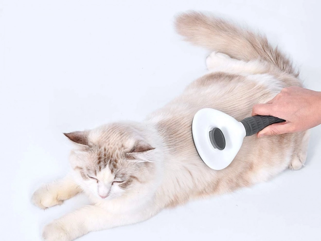 Brosse autonettoyante pour chiens et chats