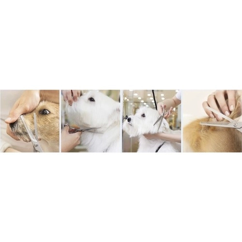 Ciseaux pour chiens Purlov 23186