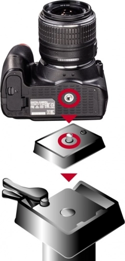 Compatibilité avec différents trépieds