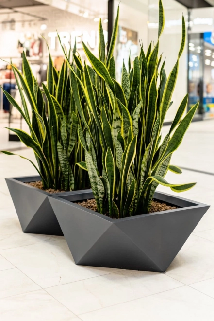 Pot de fleur design MONUMO VENDETTA hauteur 30 cm anthracite