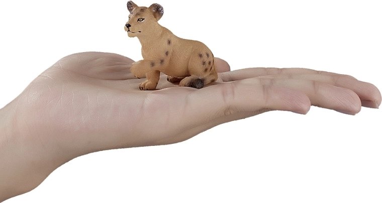 Idéale pour apprendre et collectionner