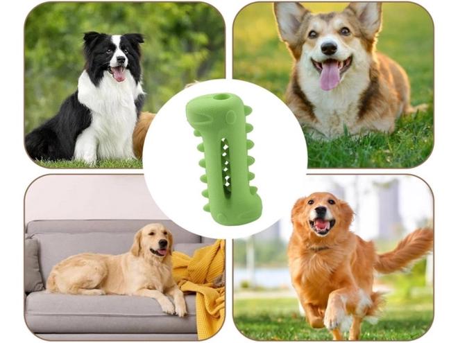 Jouet à mâcher pour le nettoyage des dents des chiens