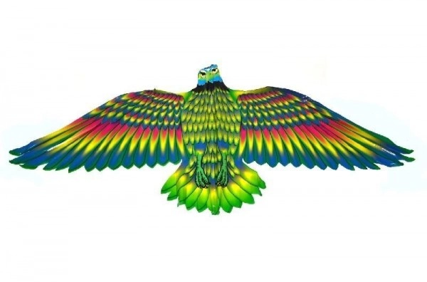 Différentes variantes de couleurs