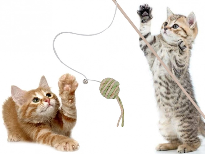 Jouet pour chats canne à pêche avec balle et grelot