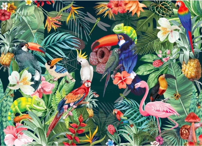 La nature tropicale dans toute sa splendeur