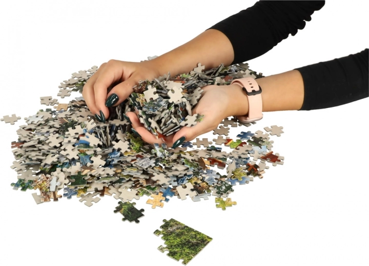 Pièces précises et couleurs intenses