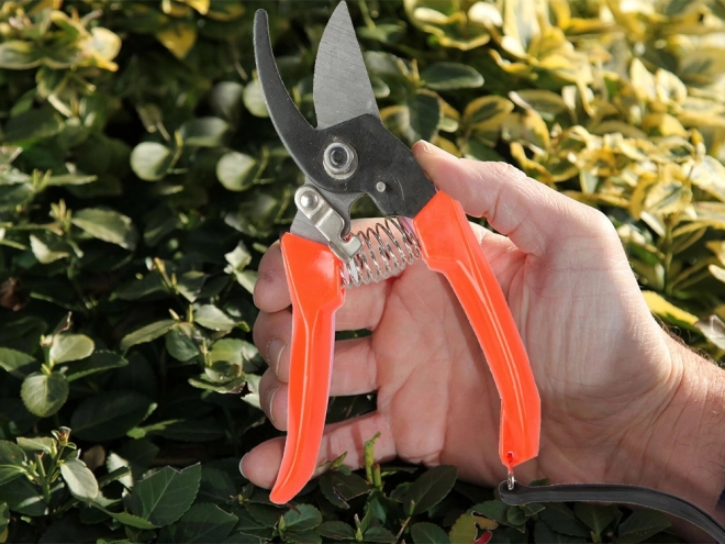 Cisailles de jardin pour arbustes