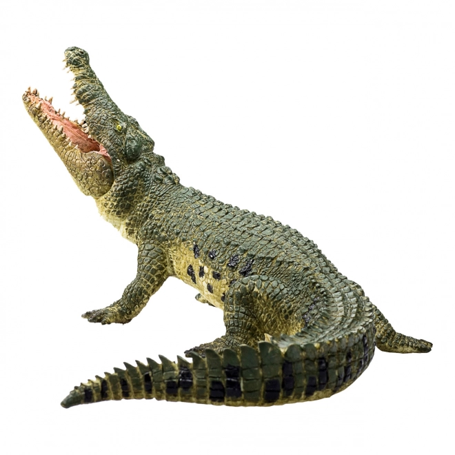 Crocodile Réaliste avec Mâchoire Articulée