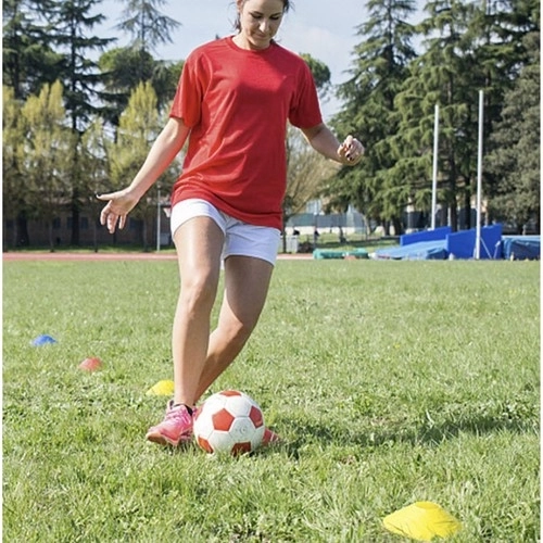 Plots d'entraînement