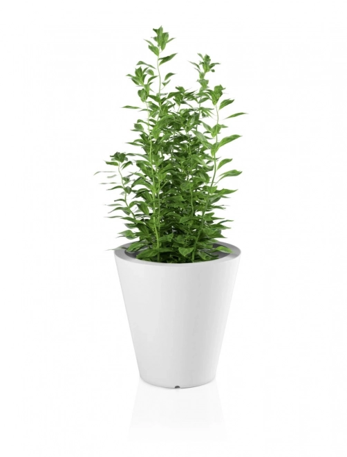 Pot de fleurs Monumo Ovo blanc