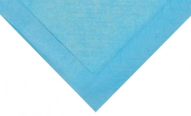 Sous-couche hygiénique absorbante pour animaux 60 x 45 cm - 50 pièces