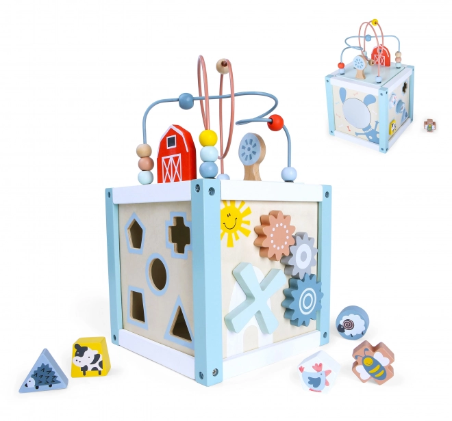 Tri de cubes en bois avec blocs Ecotoys
