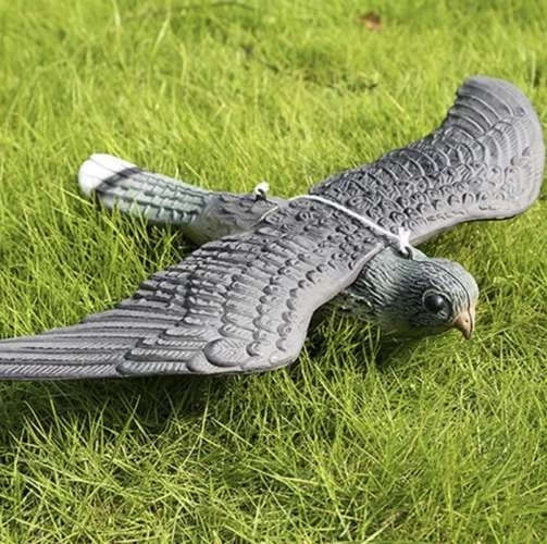 Attrape-Faucon pèlerin - Répulsif à oiseaux