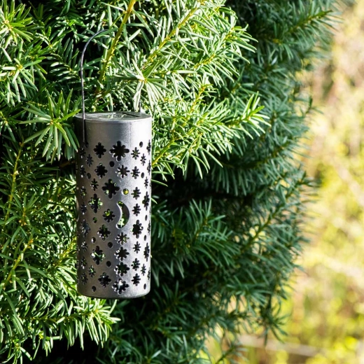 À piquer ou à suspendre