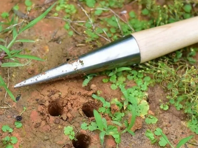 Plantoir de jardin pour bulbes