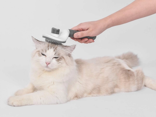 Brosse autonettoyante pour chiens et chats