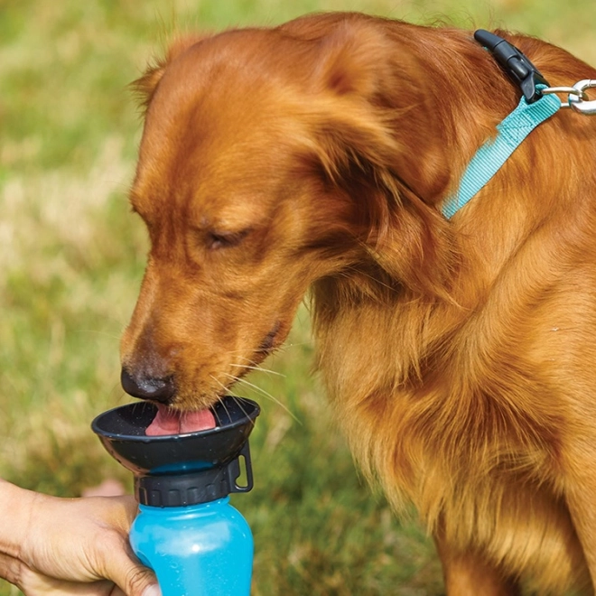 Hydratation à une main sans renverser