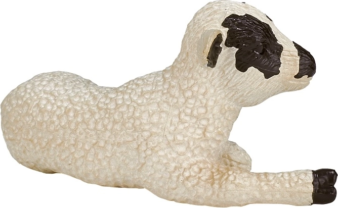 Format compact pour les petites mains