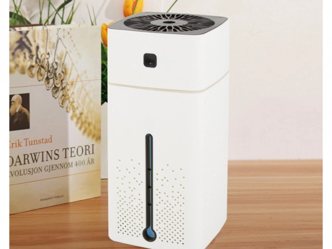 Humidificateur à ultrasons pour l'aromathérapie avec éclairage RGB