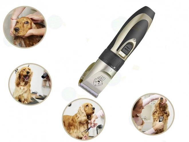Ensemble de ciseaux pour couper les chiens