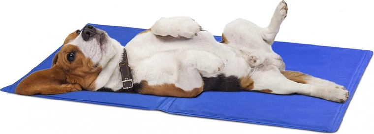 Gel auto‑rafraîchissant jusqu’à 4 heures