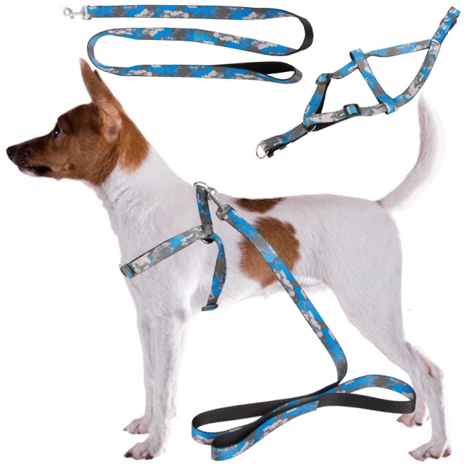 Laisse avec harnais confortable pour chiens et chats