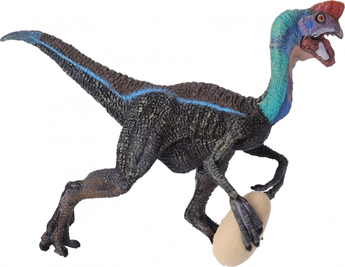 Idéale pour l’apprentissage et la collection