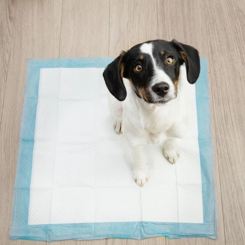 Tapis Hygiénique 60x60cm 50pcs