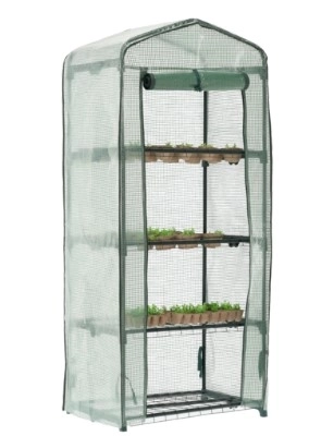 Serre de jardin avec étagères