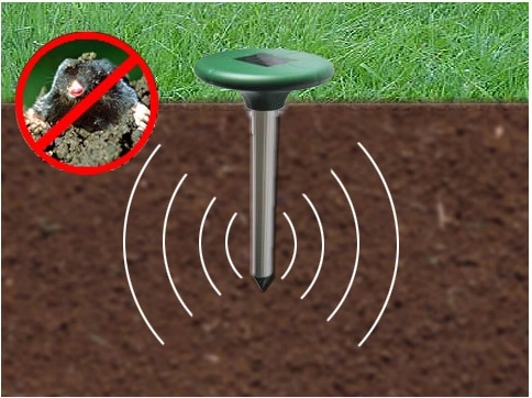 Fréquence variable et vibrations