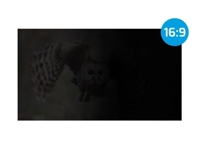 Filtre de protection des données privées Natec Owl 16 pouces 16:10