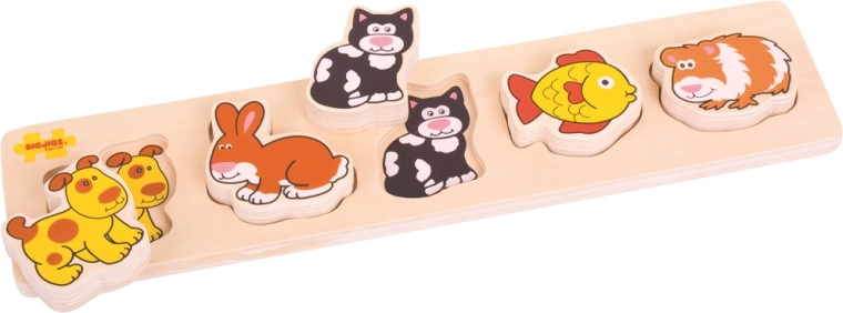 Apprendre en jouant : couleurs, formes et animaux de compagnie