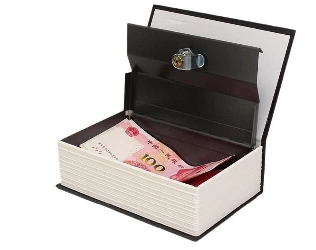 Cachette dans le livre