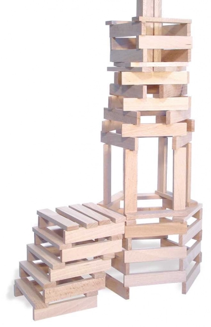 Kit de construction en bois Vilac Batibloc 200 pièces
