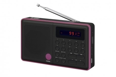 Radio Pliszka USB FM noir