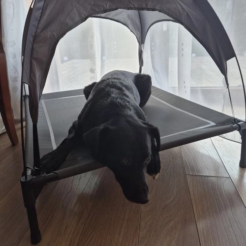 Lit couvert pour chiens XXL Purlov