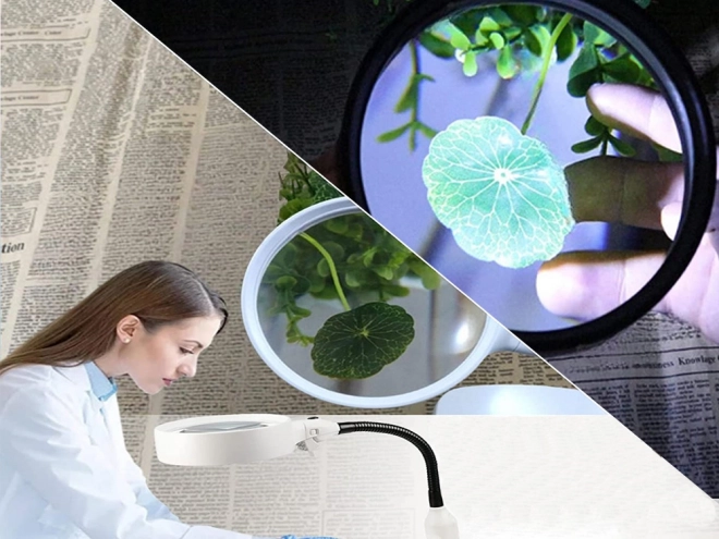 Loupe cosmétique avec éclairage LED