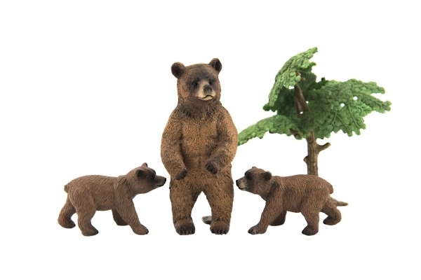 Zoo animaux - Ours