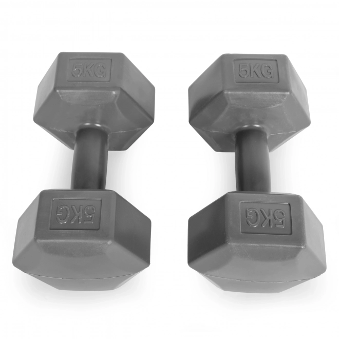 Ensemble d'haltères hexagonaux 2x5 kg gris ModernHome