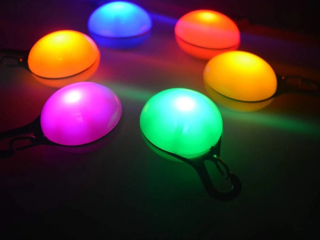 Pendentif lumineux pour colliers de chiens et chats