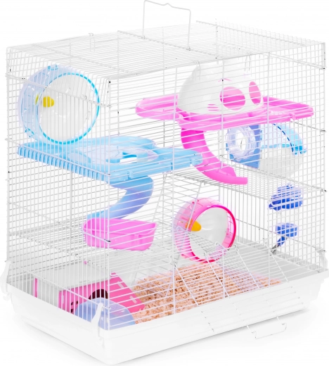 Divertissement et mouvement multi-niveaux