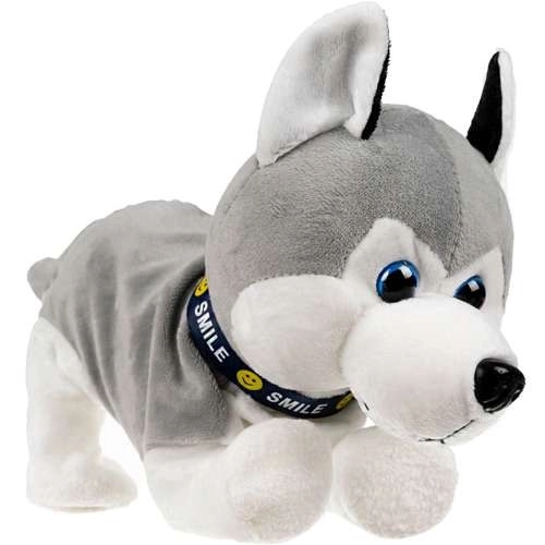 Chien interactif