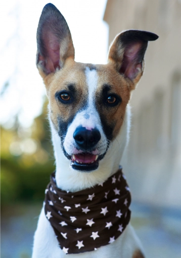 Finition de haute qualité