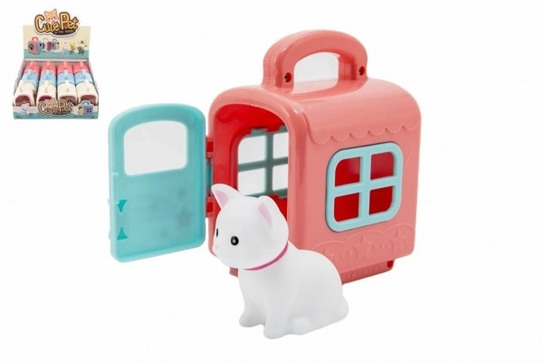 Petit animal dans une boîte de transport