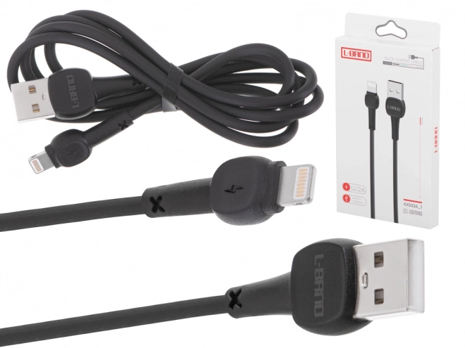 câble Lightning de charge rapide noir